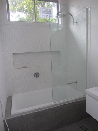 Replacing Shower and Bathroom
